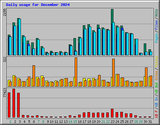 Daily usage for December 2024