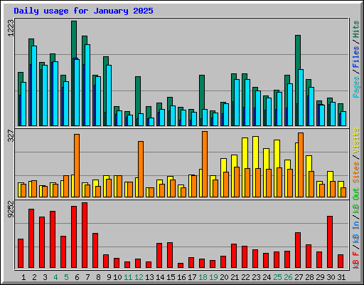 Daily usage for January 2025
