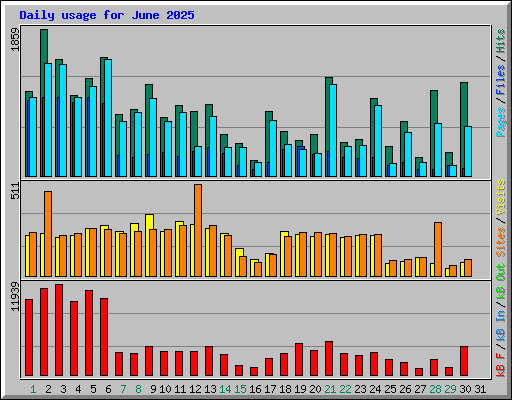 Daily usage for June 2025