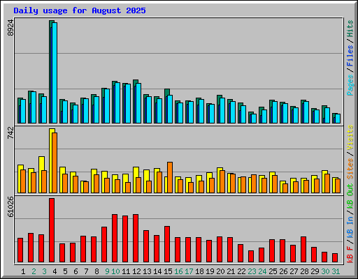 Daily usage for August 2025