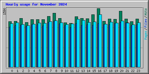 Hourly usage for November 2024