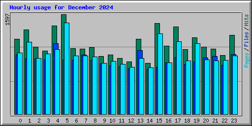Hourly usage for December 2024