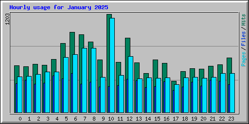 Hourly usage for January 2025