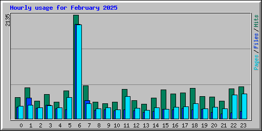 Hourly usage for February 2025