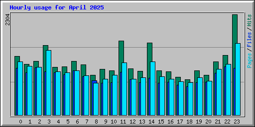 Hourly usage for April 2025