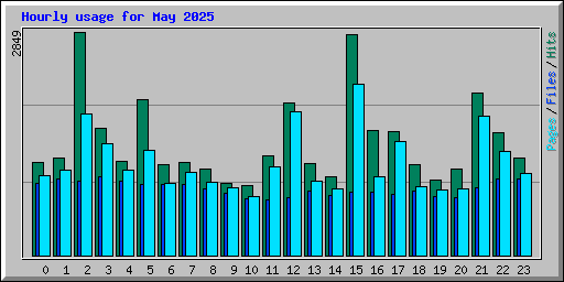 Hourly usage for May 2025