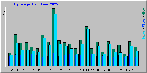 Hourly usage for June 2025