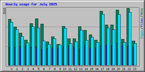 Hourly usage for July 2025