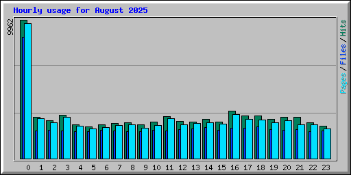 Hourly usage for August 2025