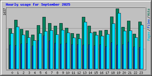 Hourly usage for September 2025