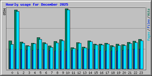 Hourly usage for December 2025