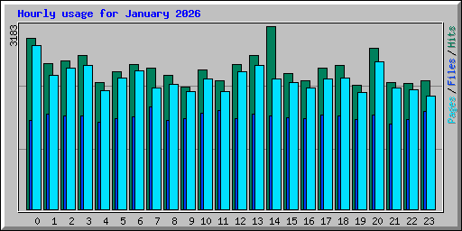 Hourly usage for January 2026