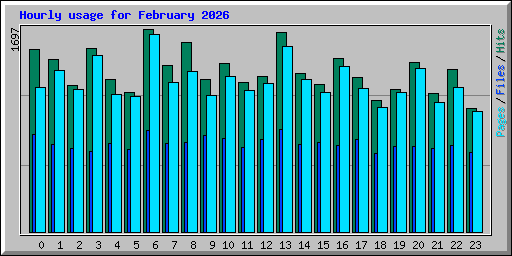 Hourly usage for February 2026